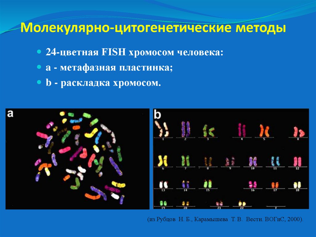 Молекулярно-цитогенетические методы