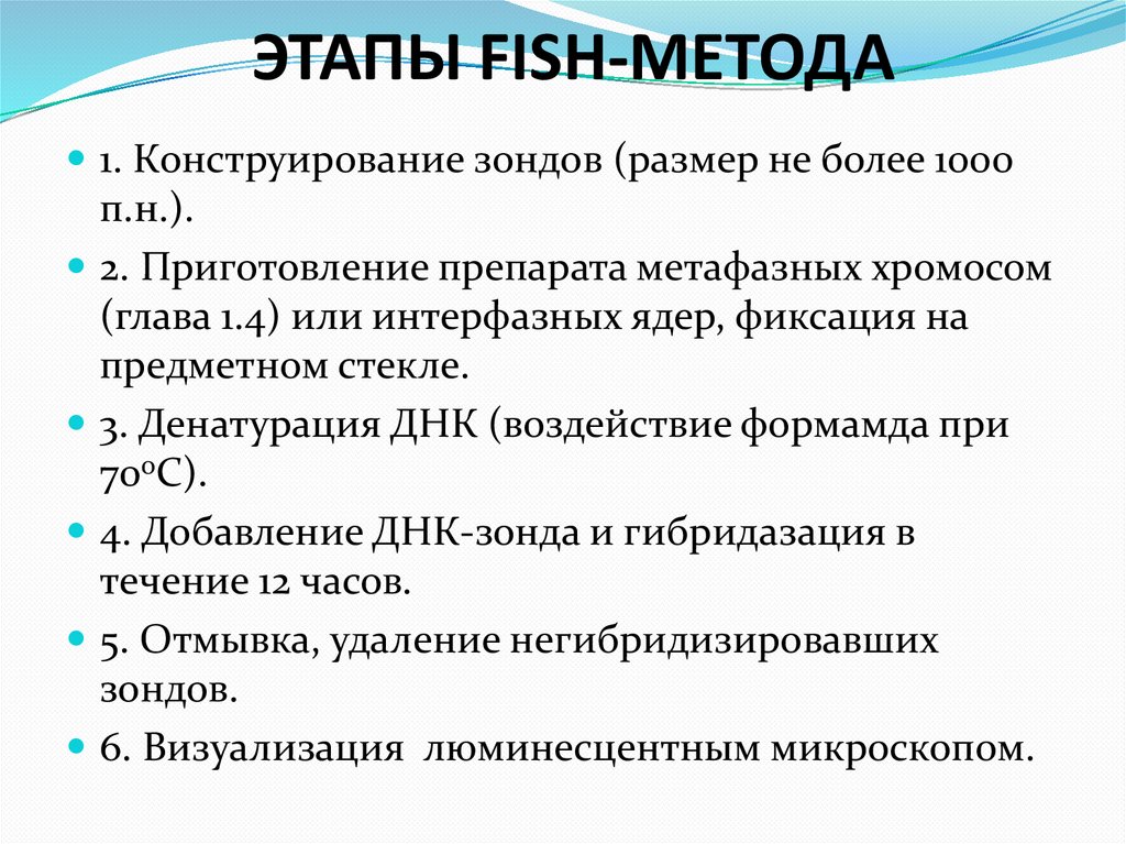 ЭТАПЫ FISH-МЕТОДА