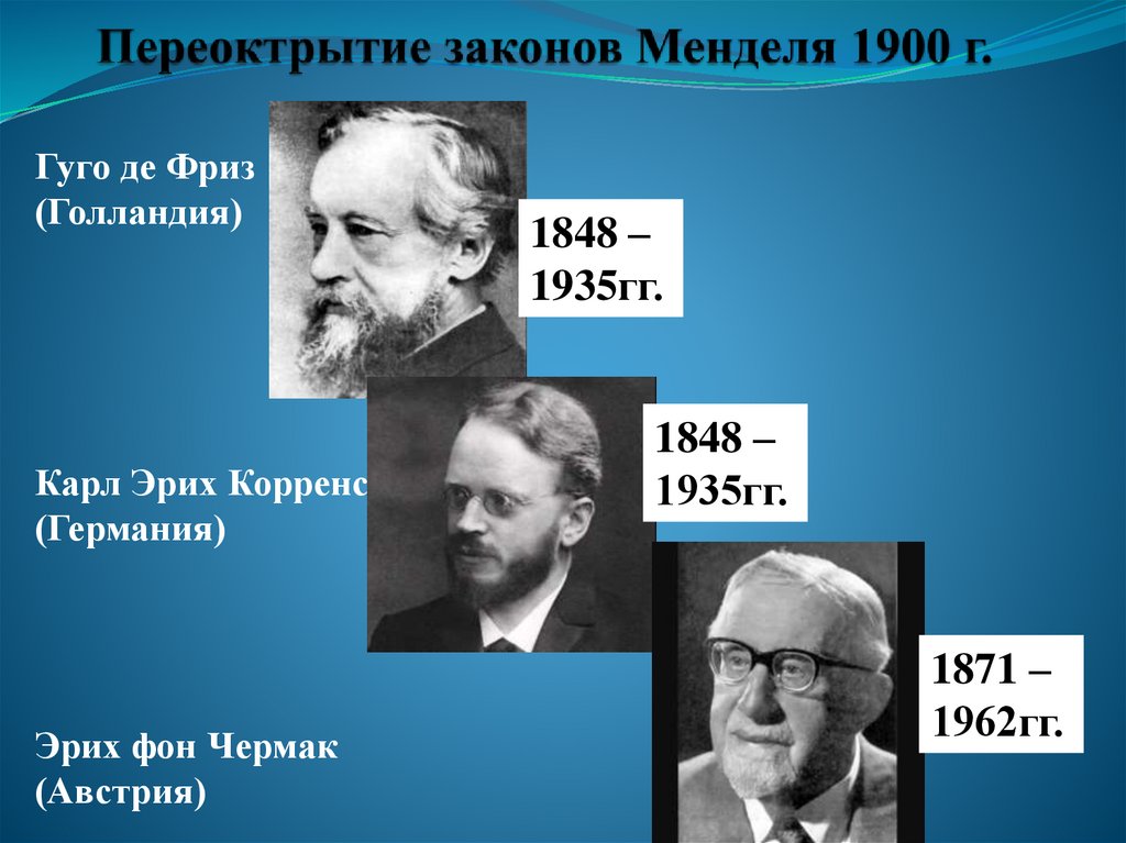 Переоктрытие законов Менделя 1900 г.