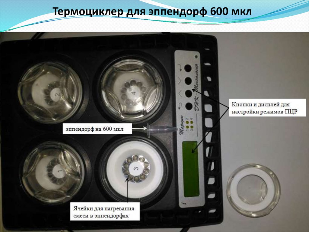 Термоциклер для эппендорф 600 мкл
