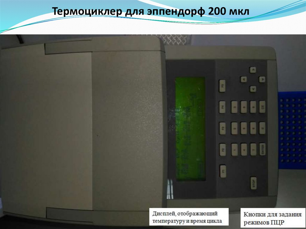 Термоциклер для эппендорф 200 мкл