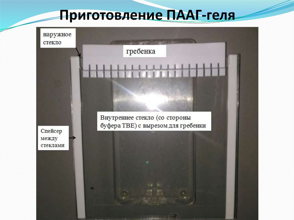 Приготовление ПААГ-геля