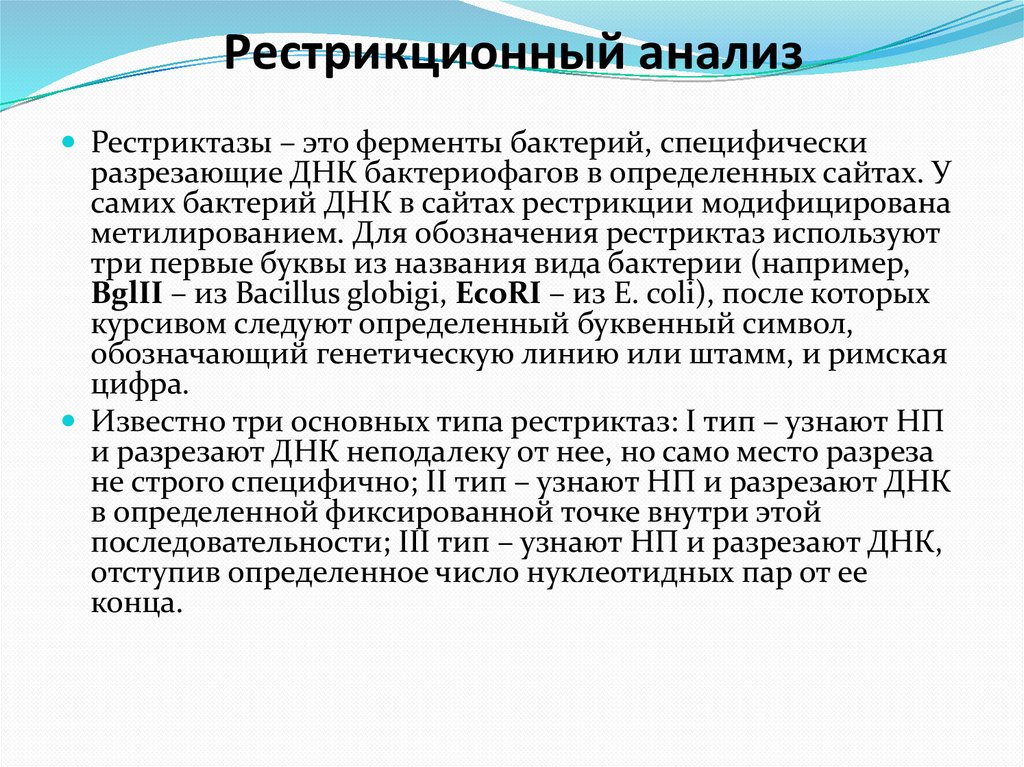 Рестрикционный анализ