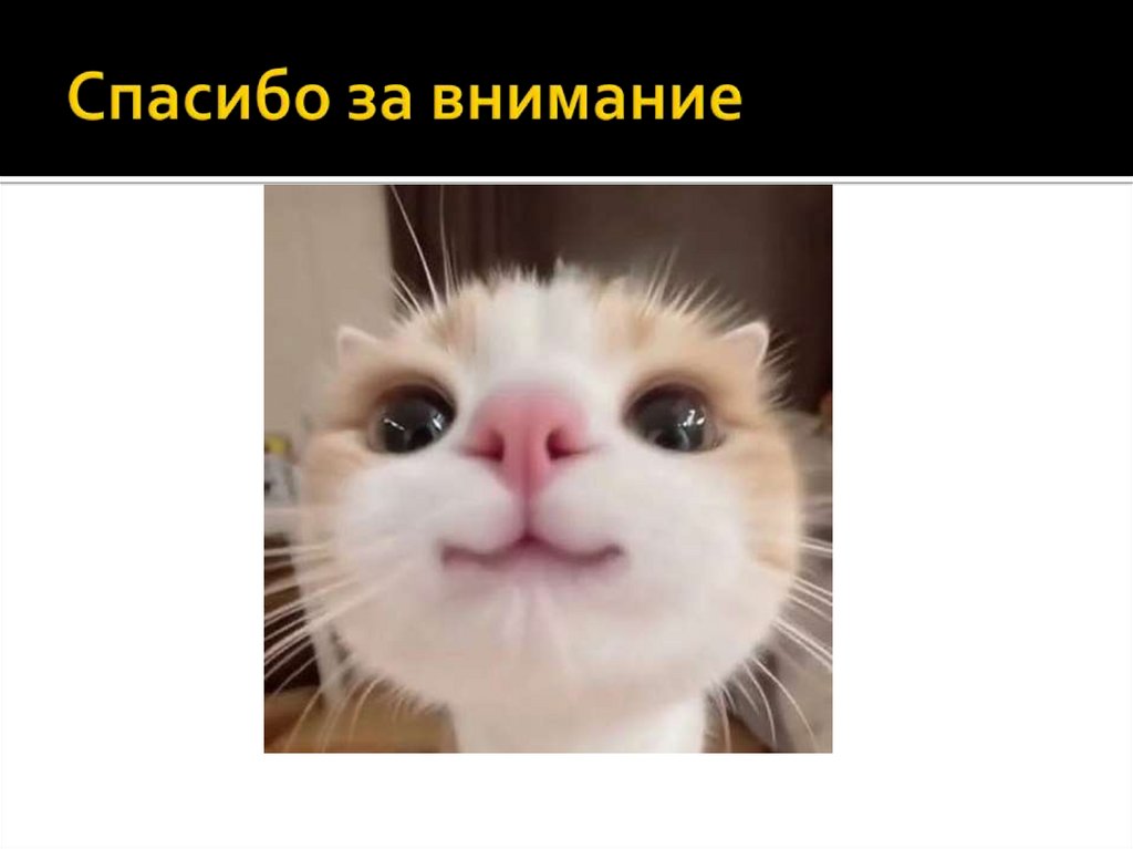 Спасибо за внимание