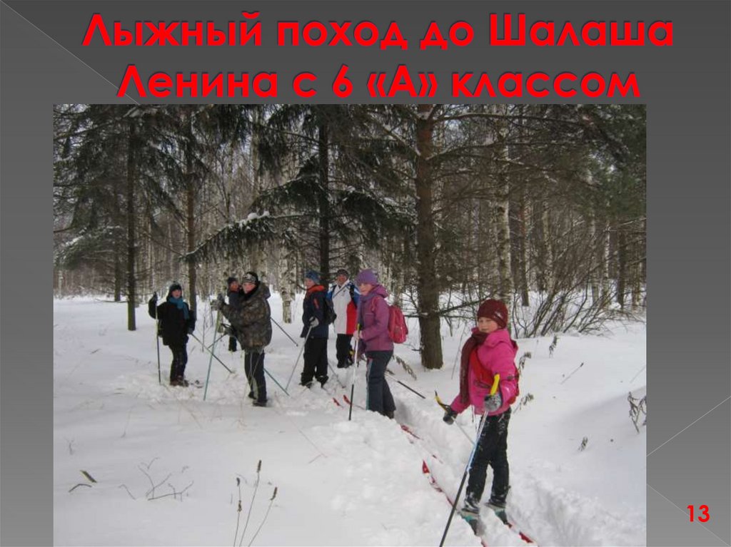 Лыжный поход до Шалаша Ленина с 6 «А» классом