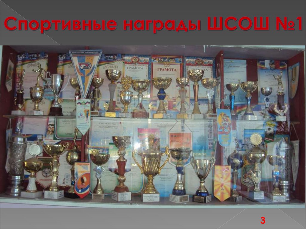 Спортивные награды ШСОШ №1