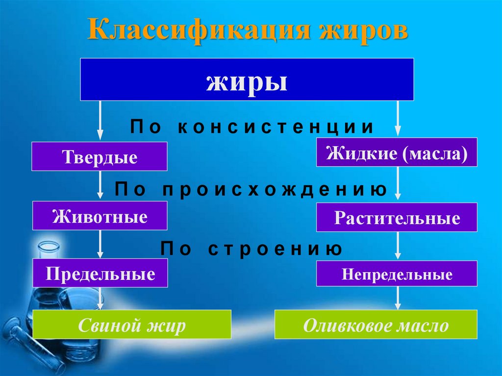 Классификация жиров