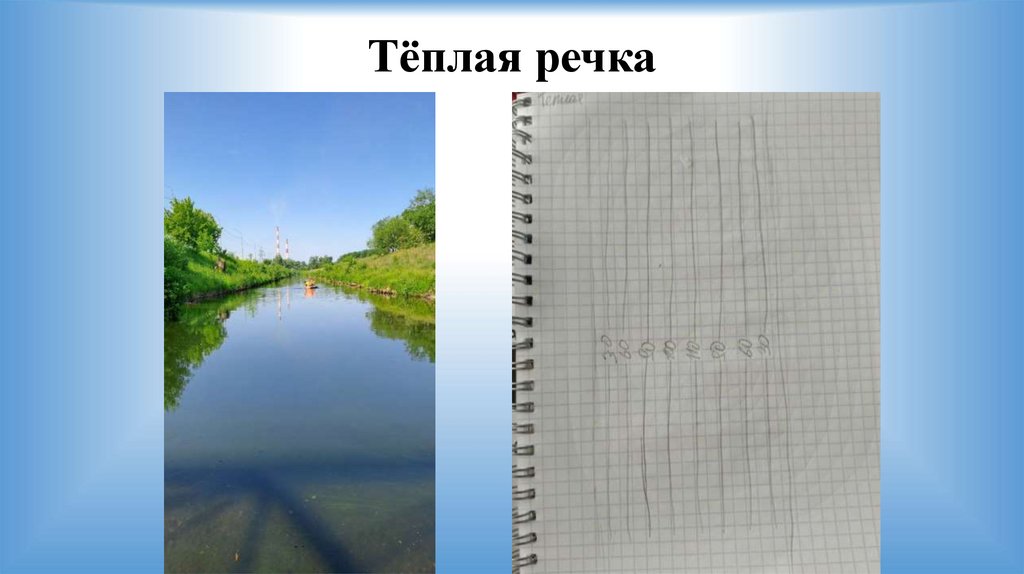 Тёплая речка