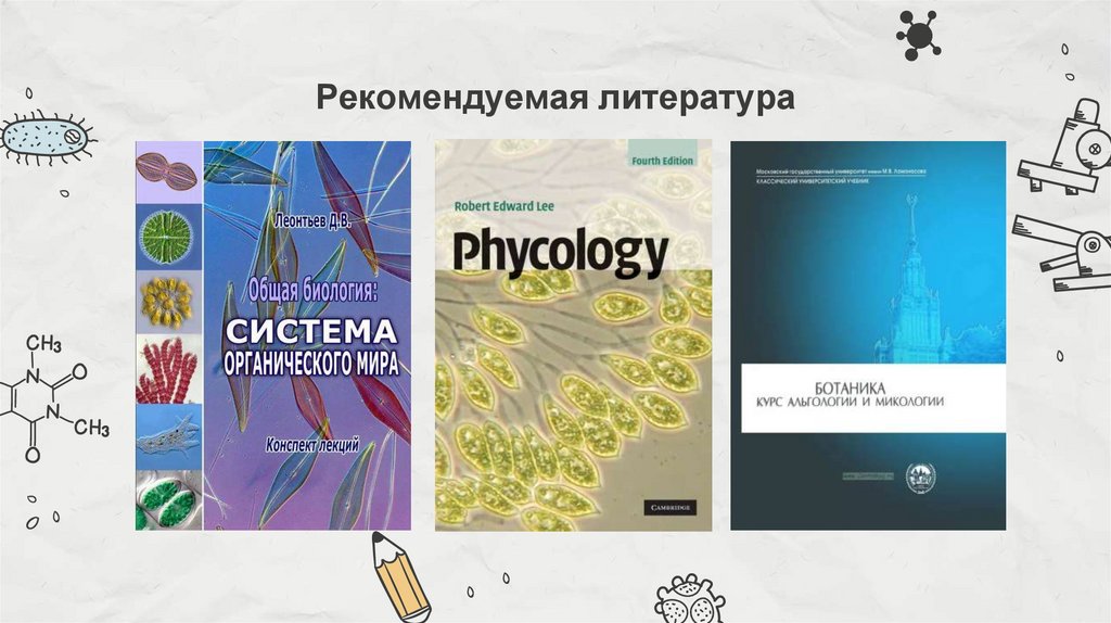 Рекомендуемая литература