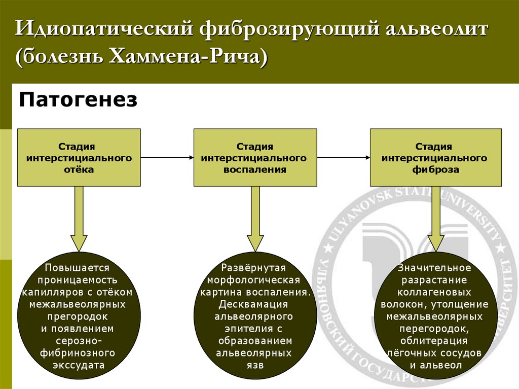 Идиопатический фиброзирующий альвеолит (болезнь Хаммена-Рича)