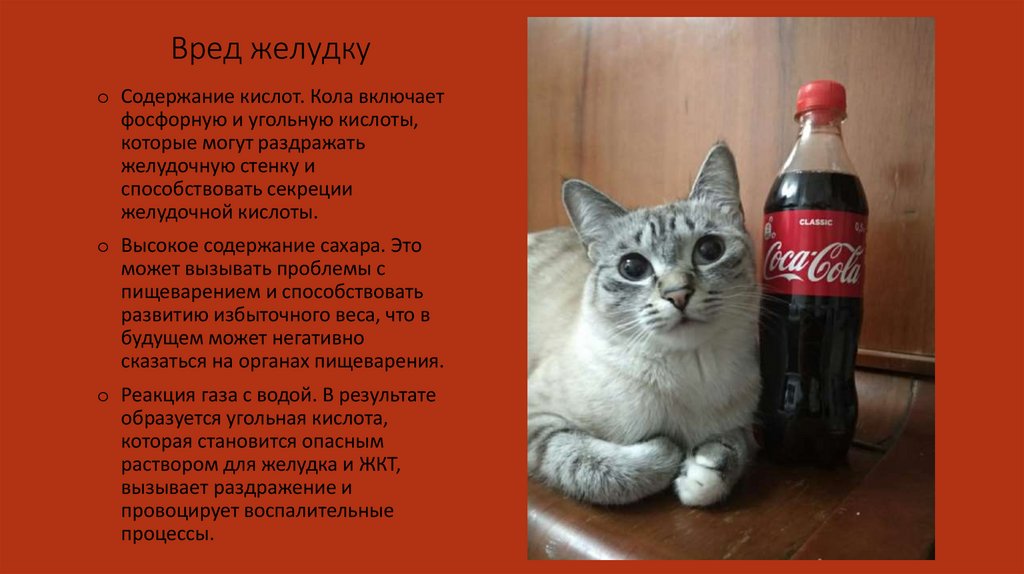 Вред желудку