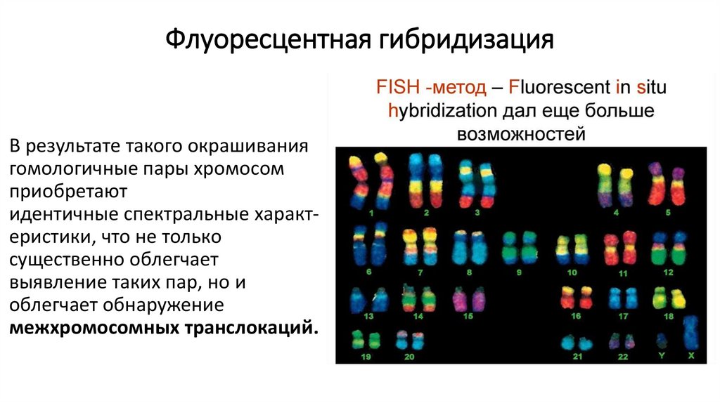 Флуоресцентная гибридизация