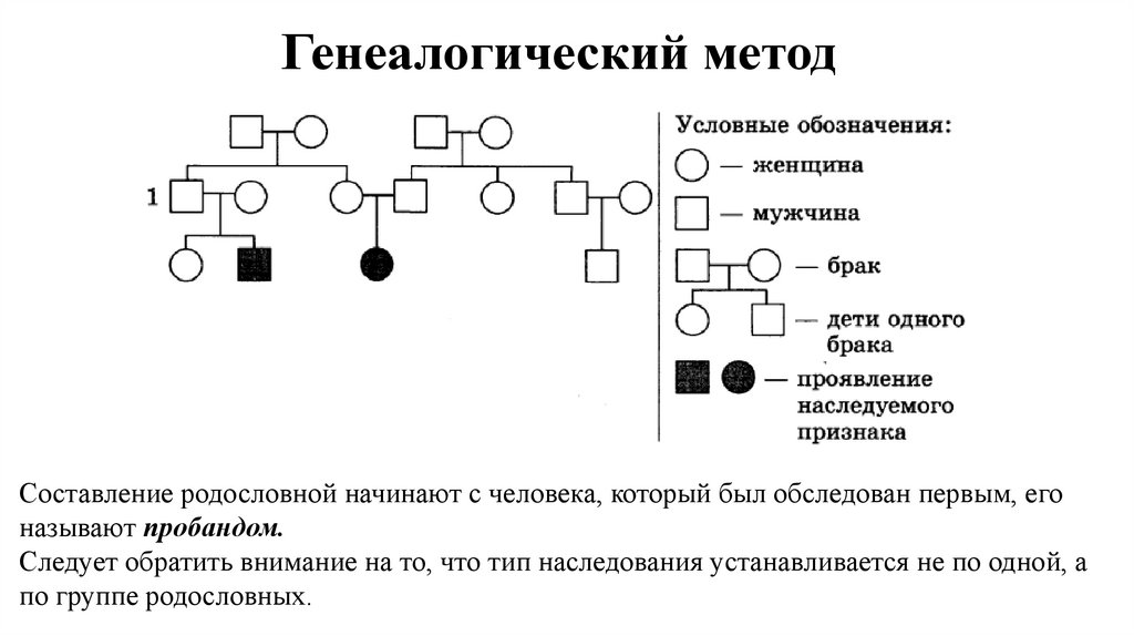 Генеалогический метод