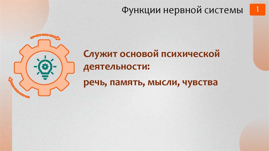 Функции нервной системы