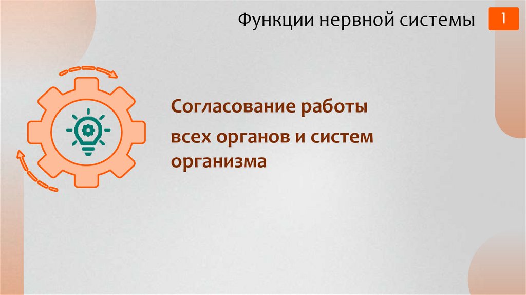 Функции нервной системы