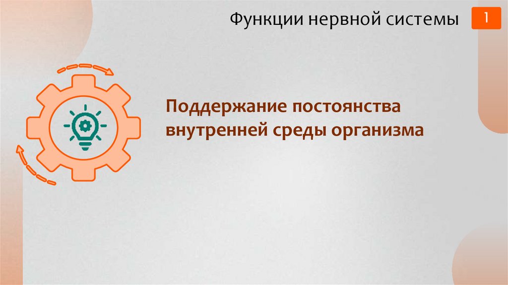 Функции нервной системы