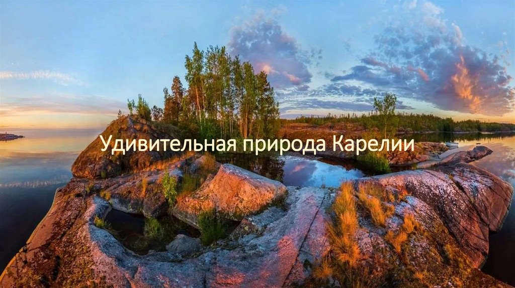 Удивительная природа Карелии