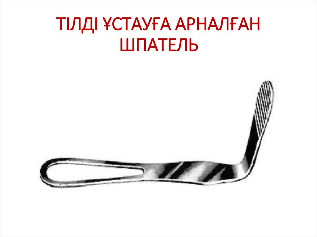 ТІЛДІ ҰСТАУҒА АРНАЛҒАН ШПАТЕЛЬ