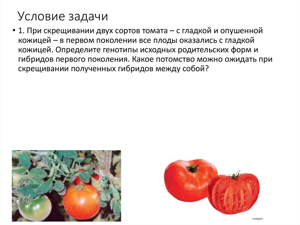 Условие задачи