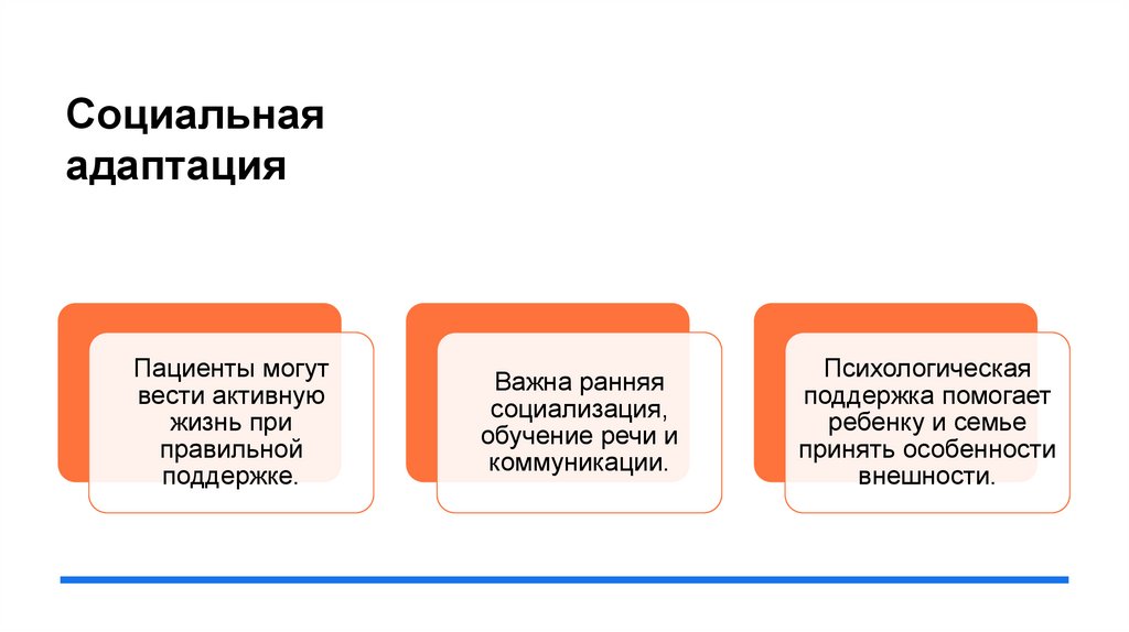 Социальная адаптация
