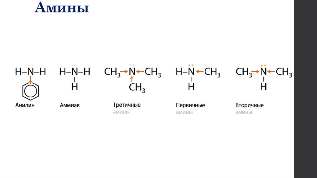Амины