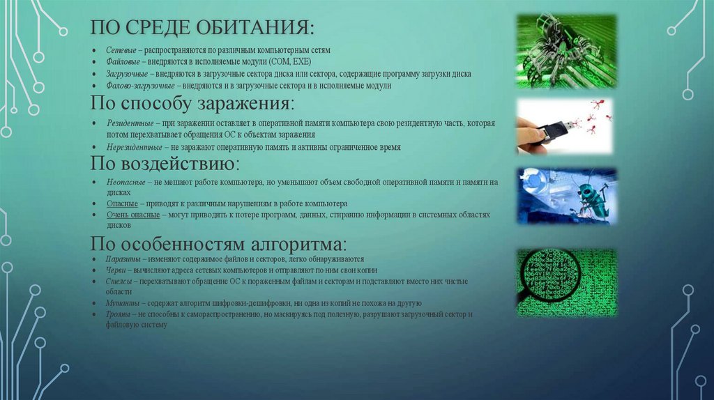 По среде обитания: