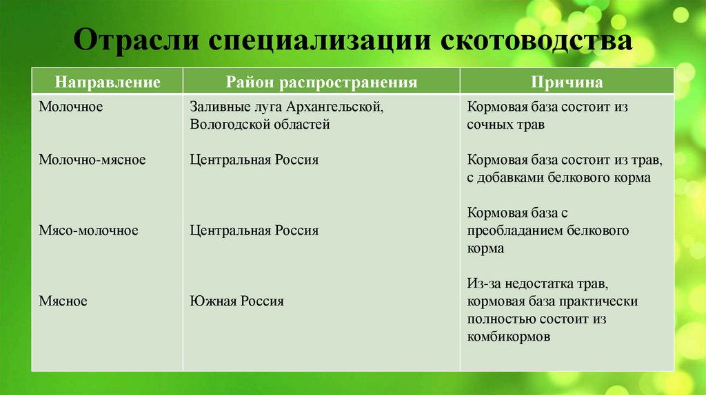 Отрасли специализации скотоводства