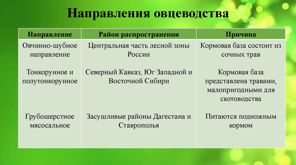 Направления овцеводства