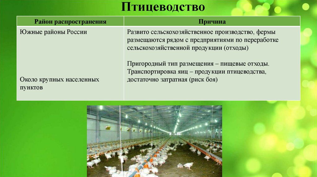 Птицеводство