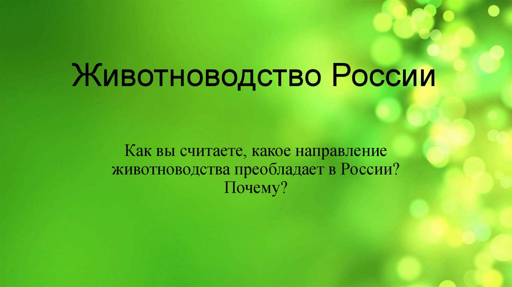 Животноводство России