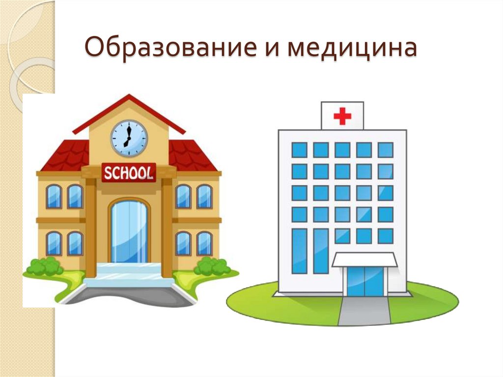 Образование и медицина