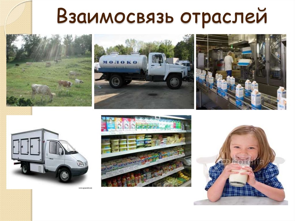 Взаимосвязь отраслей