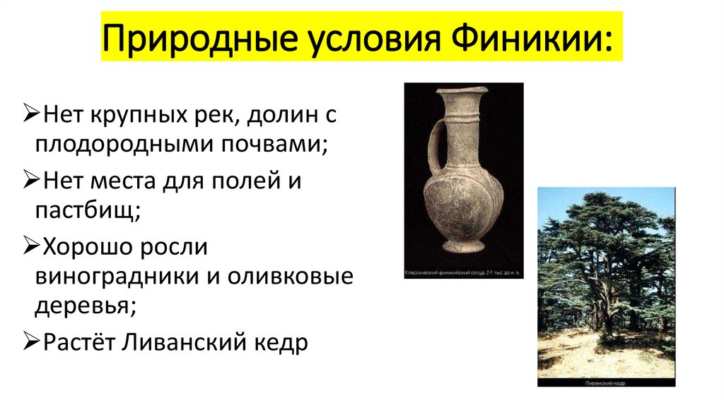 Природные условия Финикии: