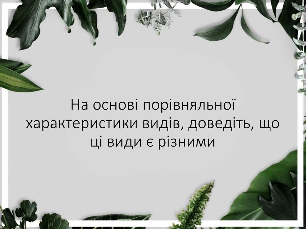 На основі порівняльної характеристики видів, доведіть, що ці види є різними