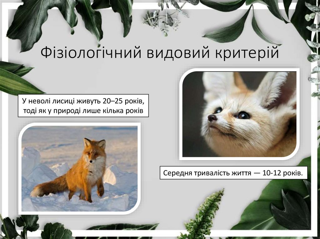 Фізіологічний видовий критерій