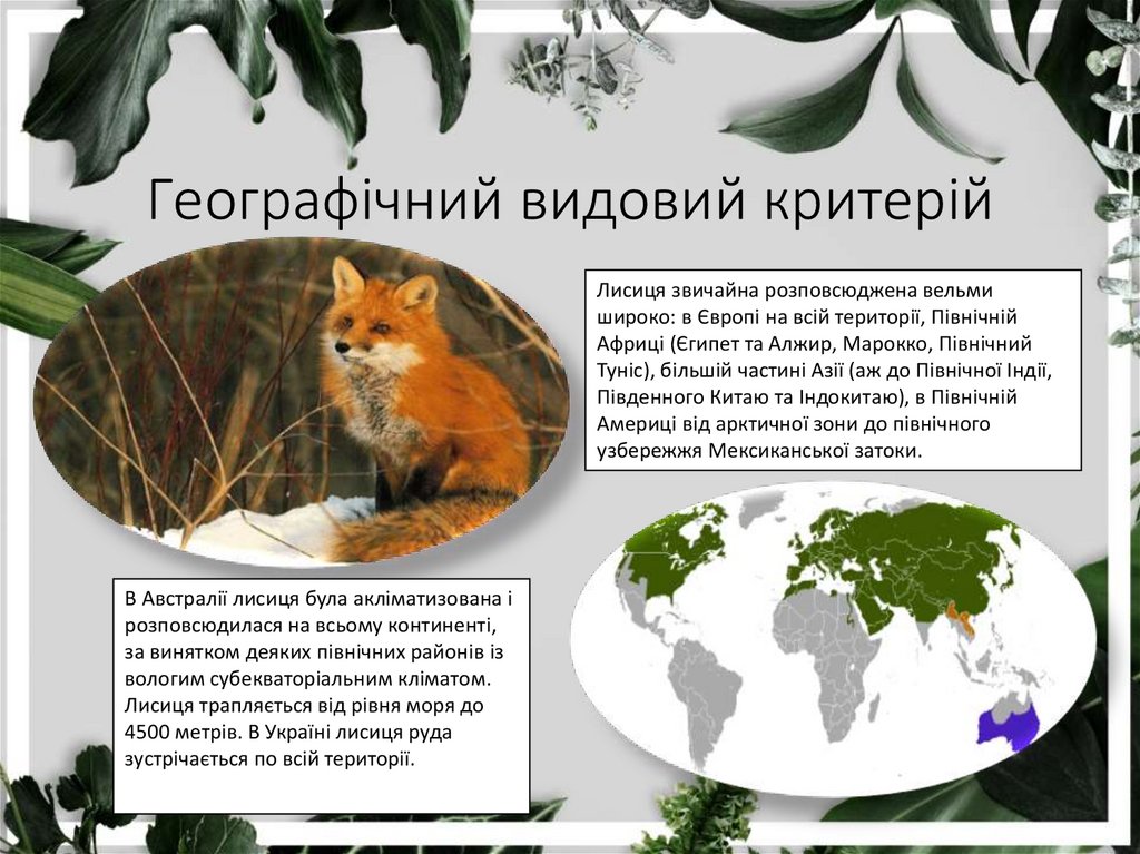 Географічний видовий критерій