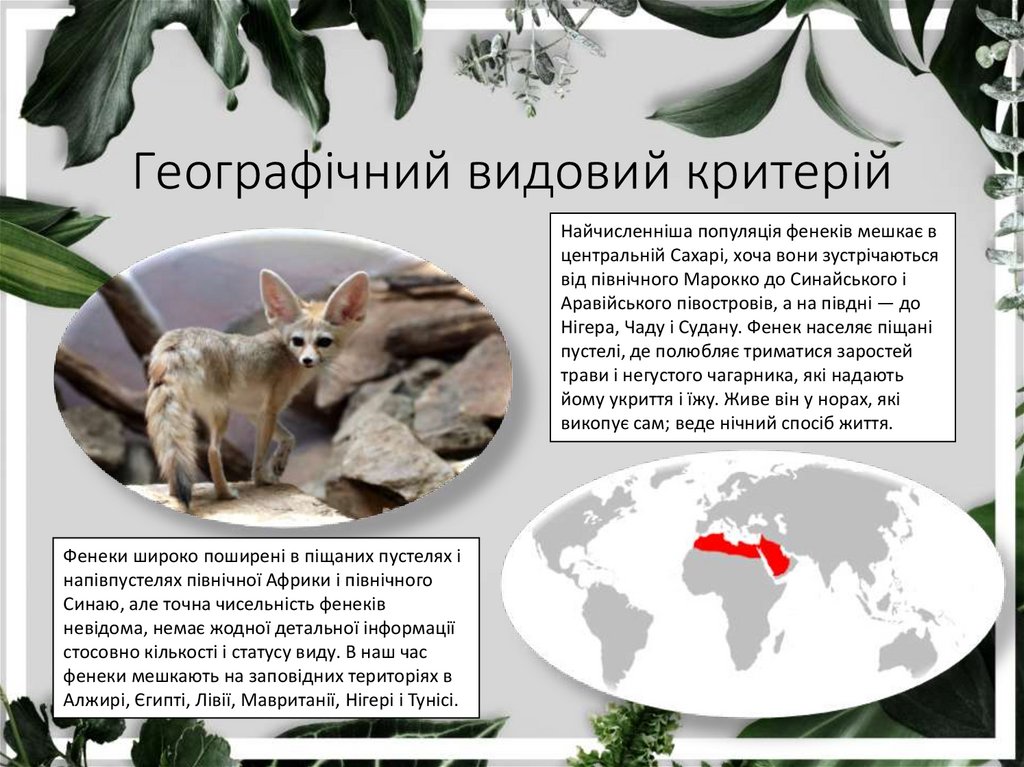 Географічний видовий критерій