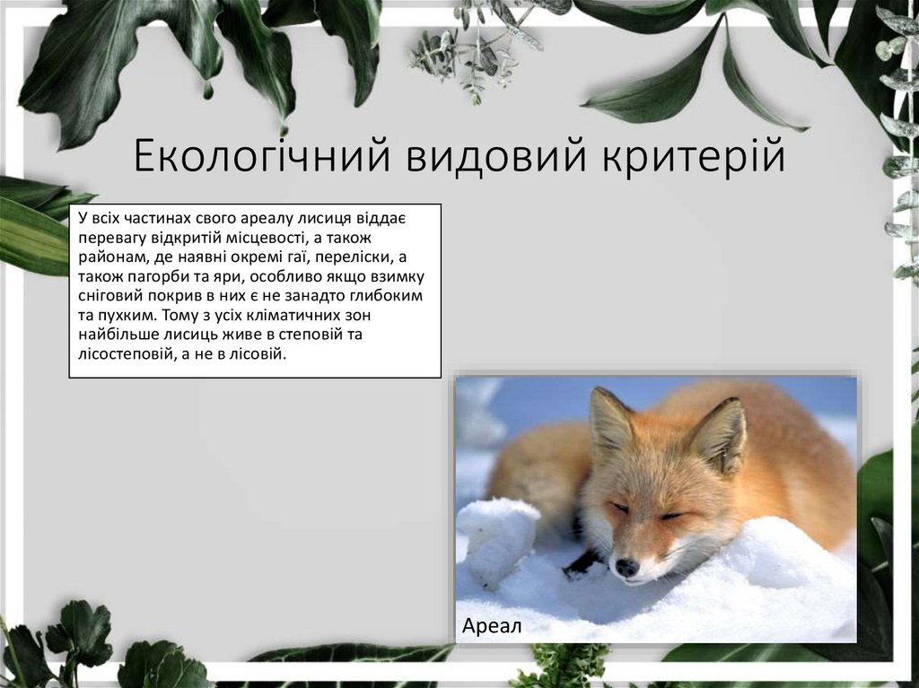 Екологічний видовий критерій