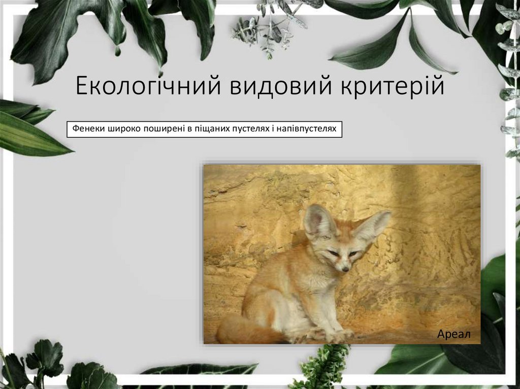 Екологічний видовий критерій