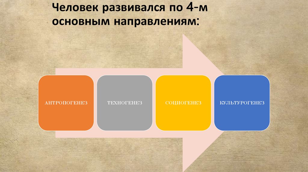 Человек развивался по 4-м основным направлениям: