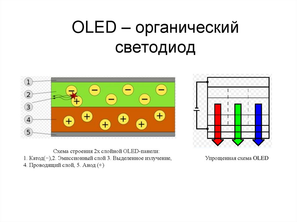 OLED – органический светодиод