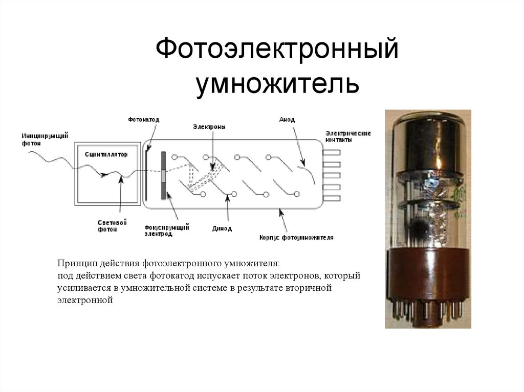 Фотоэлектронный умножитель