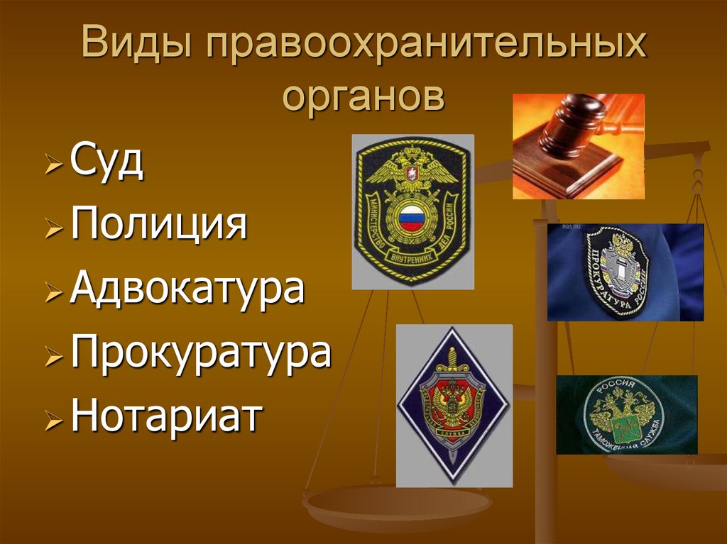 Виды правоохранительных органов