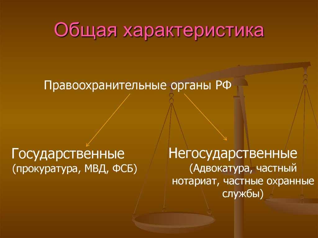 Общая характеристика