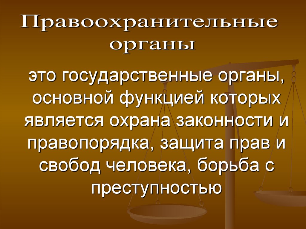 это государственные органы, основной функцией которых является охрана законности и правопорядка, защита прав и свобод человека,