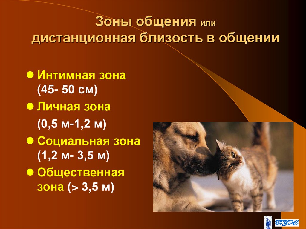 Зоны общения или дистанционная близость в общении