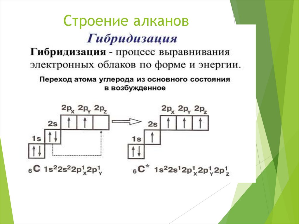 Строение алканов