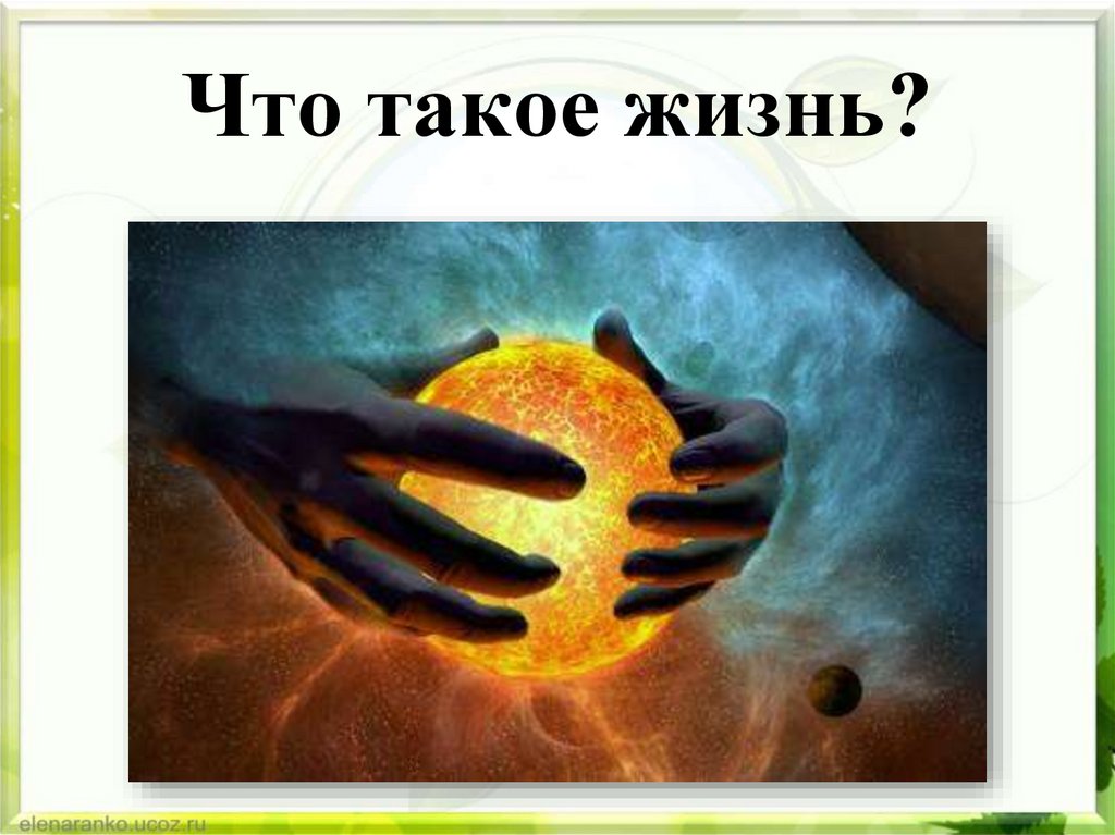 Что такое жизнь?