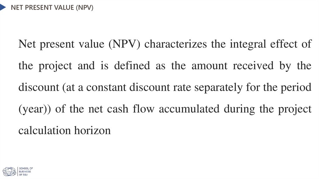 Net present value (NPV)