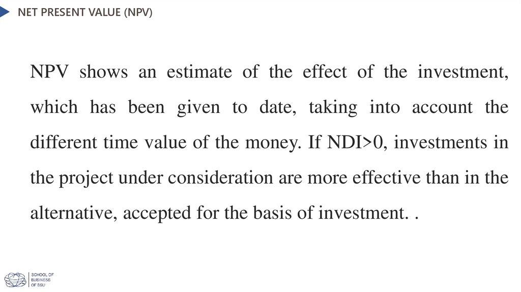 Net present value (NPV)